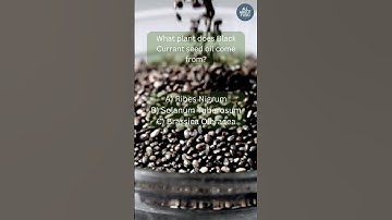 Black currant seed oil A nutrient-rich oil packed with antioxidants and essential fatty acids.