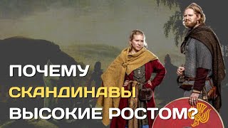 Почему скандинавы такие высокие?