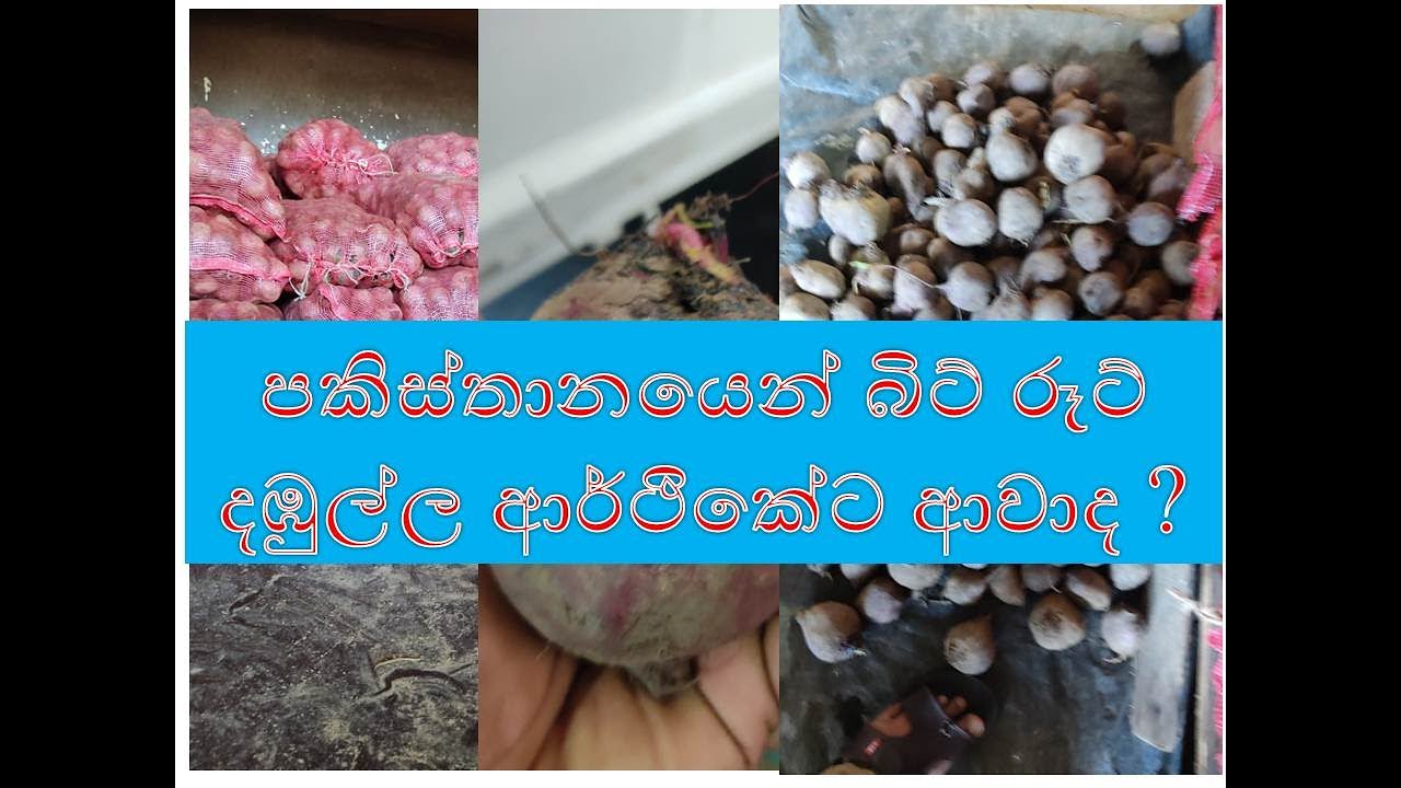bit rut pakisthan පකිස්තානයෙන් බිට් රූට් දඹුල්ල ආර්ථිකේට ආවාද ? - YouTube