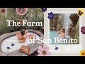 The Farm at San Benito Vlog | Nicole Andersson