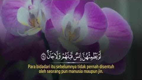 Surah Ar Rahman Zain Abu Kautsar II سورة الرحمن زين أبو كوثر