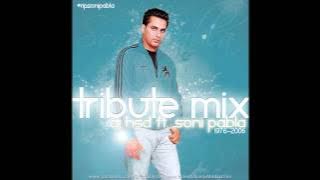 DJ HsD Ft. Soni Pabla - Tribute Mix