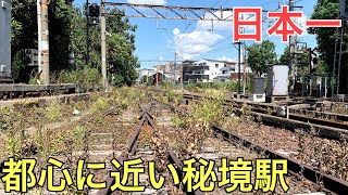 「秘境駅へ行こう!」中日本編 Amazon.co.jp: 「秘境駅へ行こう!」中日本編 [DVD
