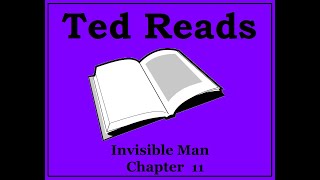 Invisible Man Ralph Ellison Chapter 11