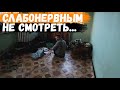 СЛАБОНЕРВНЫМ НЕ СМОТРЕТЬ! МЫ В ШОКЕ такого еще не видели!