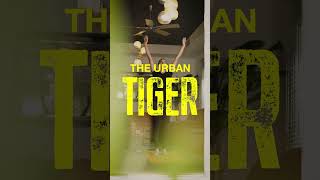 International Tiger Day - English Full Film