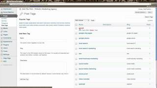 Famous WordPress for Beginners Tutorial - Tags Profile
