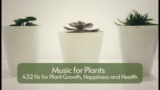 Music for Plants; 432Hz Frequency for Plant Growth, Happiness and Health