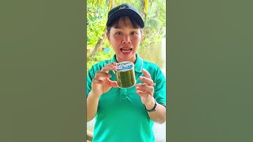 Cước câu cá D.Fish #shorts | Dã Ngoại Cùng Lan