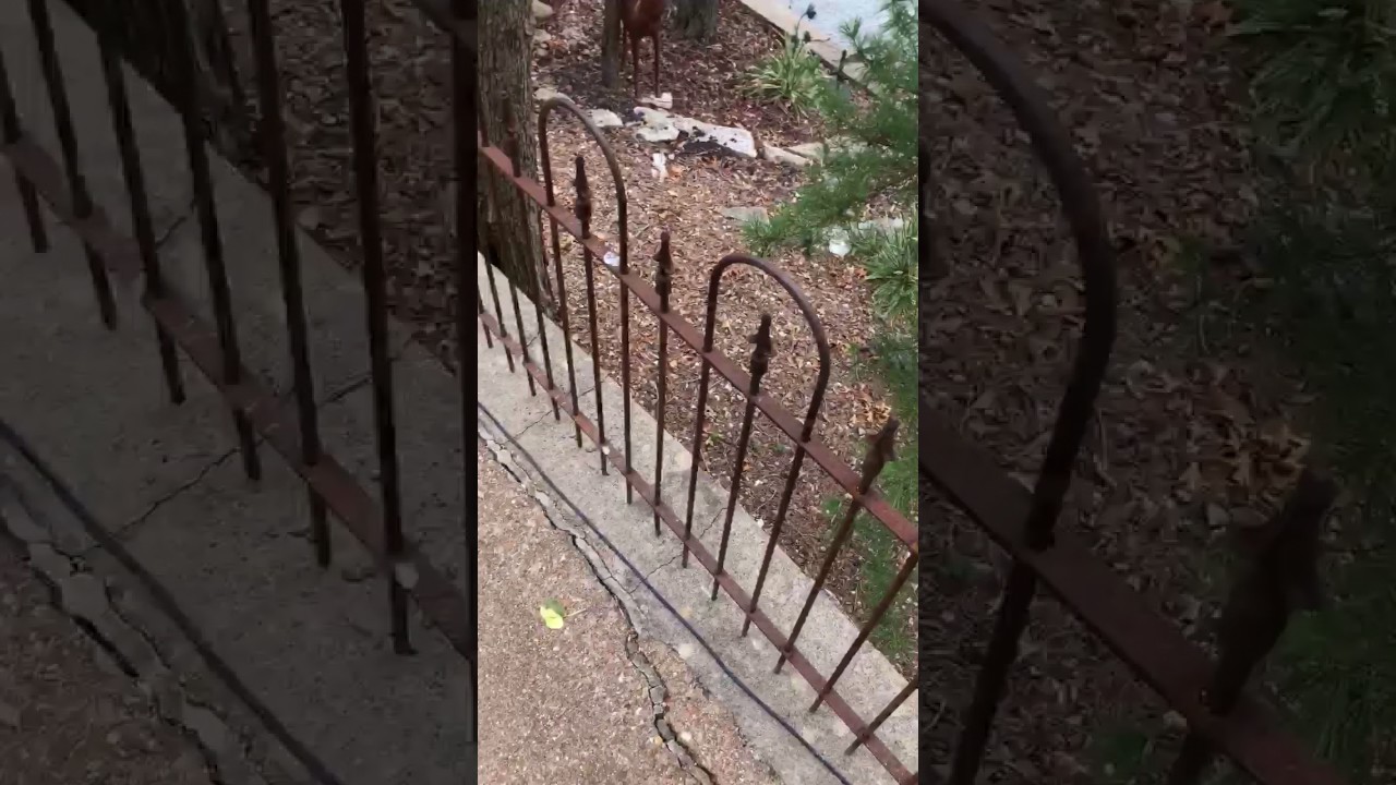 Wrought Iron Railing Rock Wall Fence Posts With Caps You Wrought Iron Railing Rock Wall Fence Posts With Caps