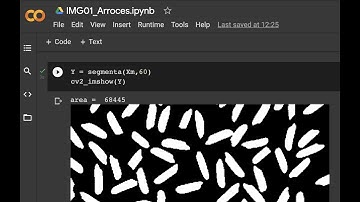 02 Procesamiento de Imágenes: Introducción