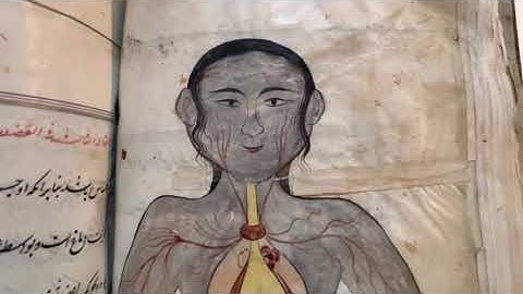 Early medieval Persian Medical Texts at the Bodleian Library (Marc Iravani)