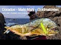 DORADOS - Mahi Mahi - Goldmakrelen: Spinnfischen vom Ufer!!! Shore Spinning Gran Canaria!