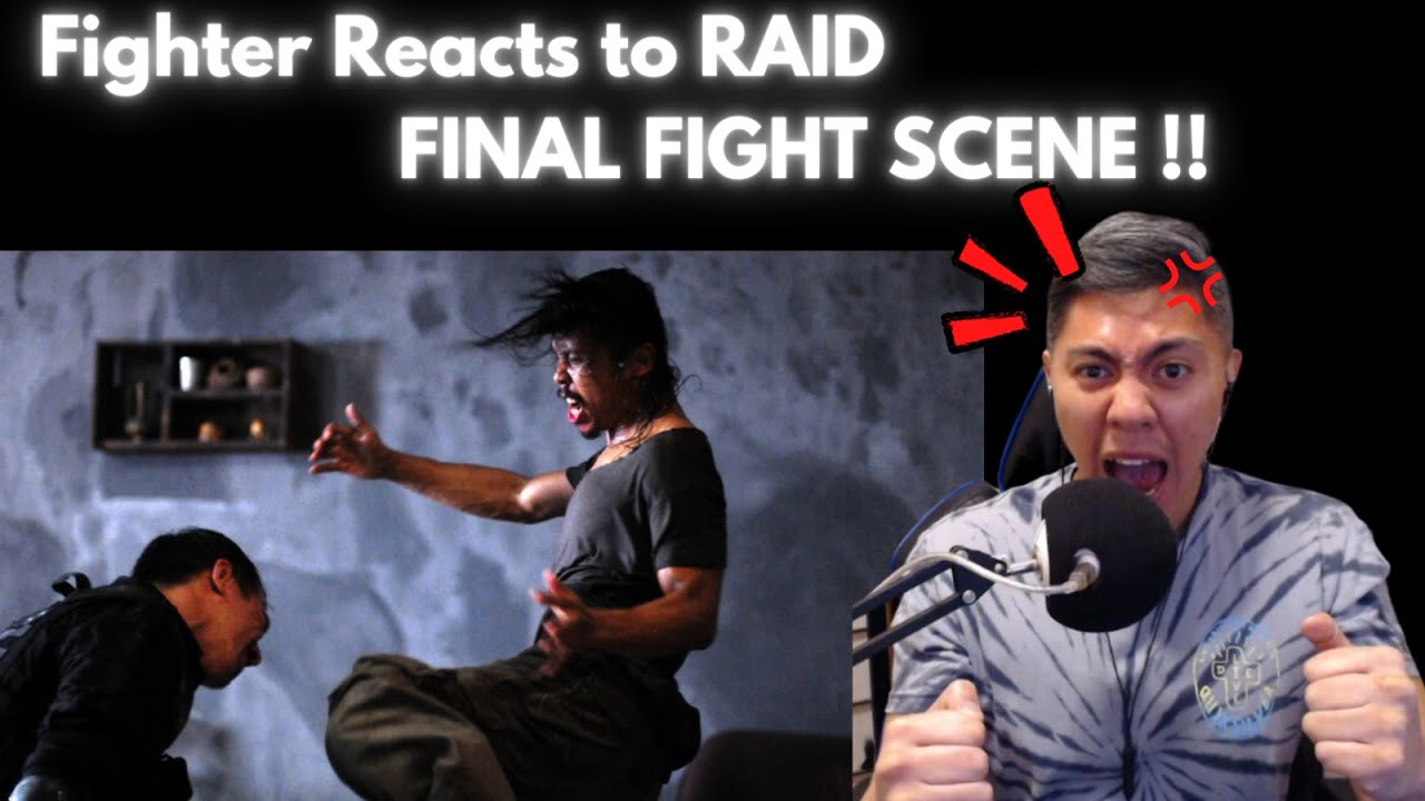 Martial Arts Instructor Reacts: The Raid Final Fight Scene! Iko Uwais! Rama  Vs Mad Dog - Youtube