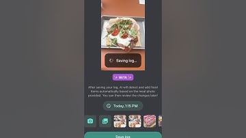 Using AI Photo To Log Your Food in the Levels App