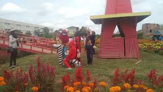 Taman bunga Celosia Palembang