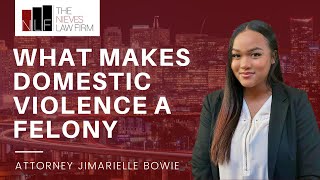 Understanding Domestic Violence Felonies in California | The Nieves Law Firm by The Nieves Law Firm 79 views 1 month ago 3 minutes, 12 seconds