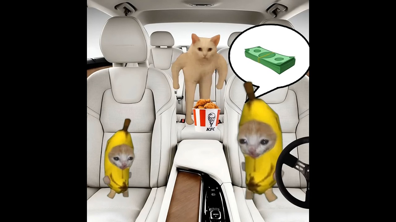 Baby Banana Cat 😺❤️ 