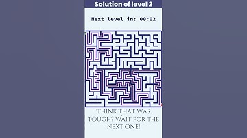 Maze Puzzle Brain Game: Can You Solve All 3 Levels? 🧠✨