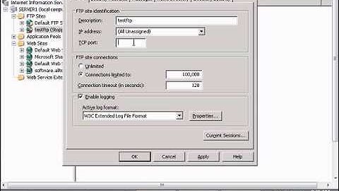 Change TCP listening port on an FTP site in Windows IIS