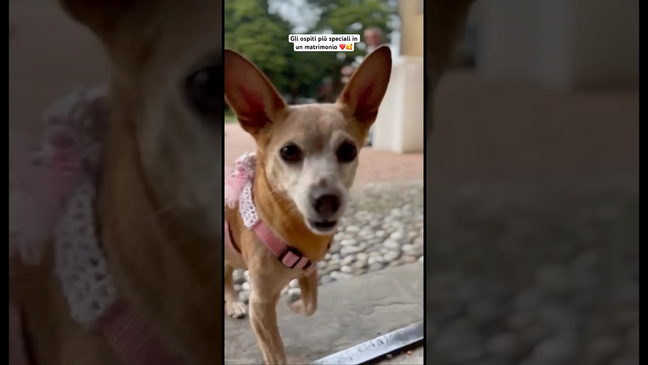 Ospiti speciali 🐾🥰 