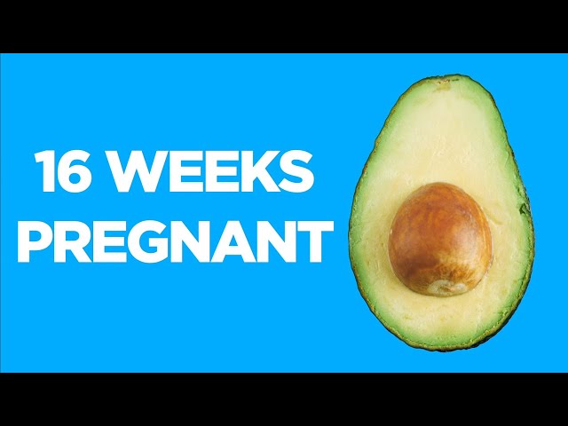 Things to know at 16 WEEKS PREGNANT