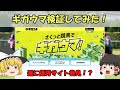 【競馬サイト検証】本当に勝てるの!?噂の競馬予想サイト『ギガウマ』検証してみた!