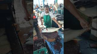 MasterFul Cutting Tuna #FishCutting #Tuna #BigFish #Masterful