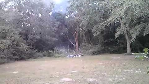 Explosive Target Blown up by AK-47