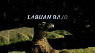 Story wa Labuan bajo terbaru2020