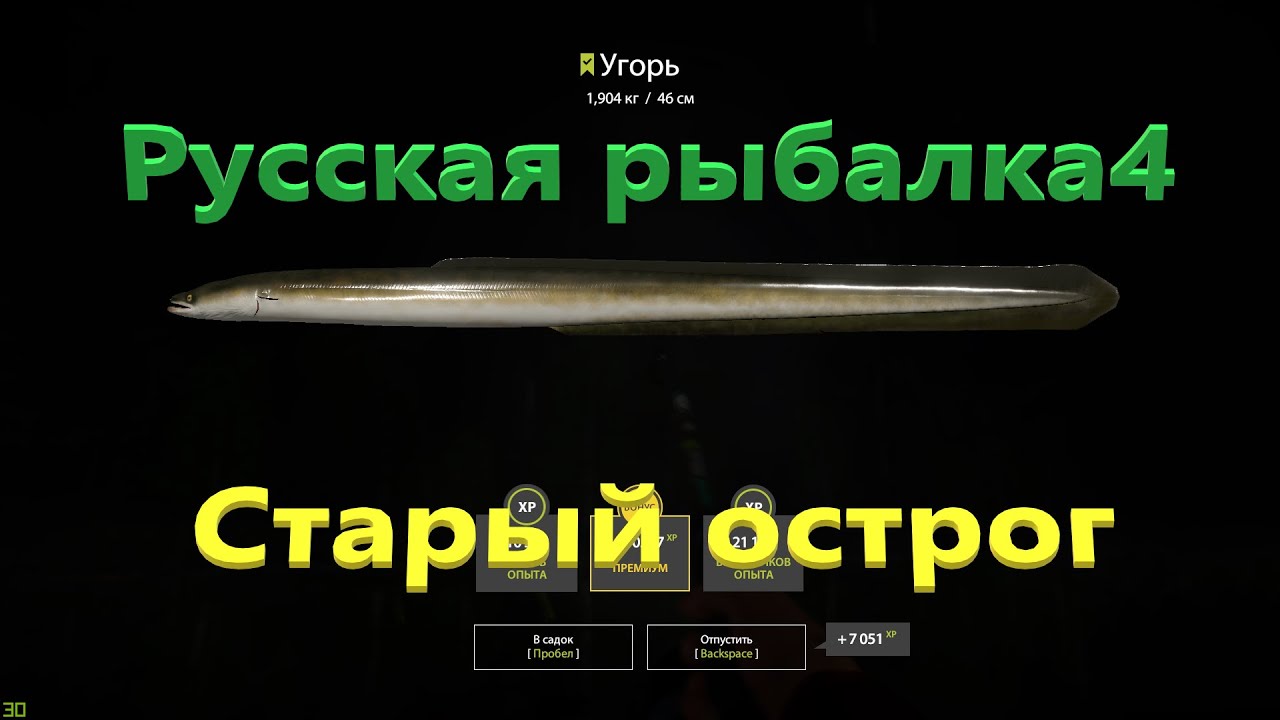 Рр3 волга угорь