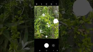 RU a biodiversity explorer? Profile