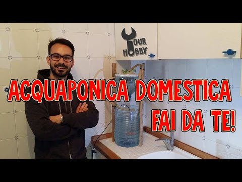 Diy Acquaponica Domestica Fai Da Te Youtube