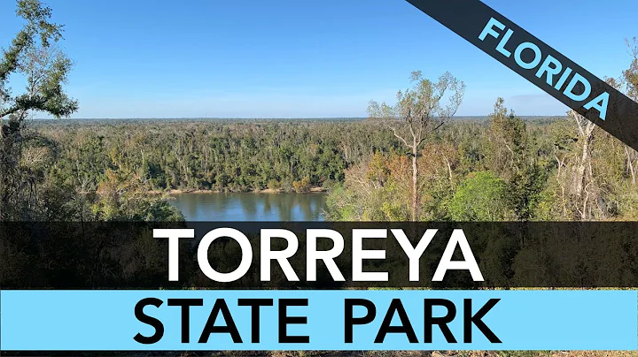 Torreya State Park, Florida - Campground Review