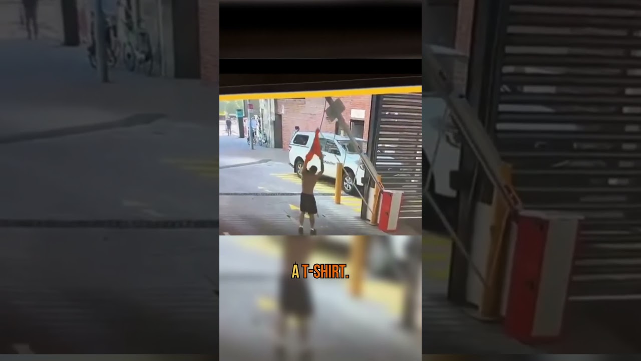 He Tried to Sneak Under the Barrier… and Lost Everything 😂🚧  