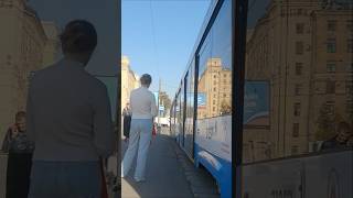 Дангауэровский мост, Лефортово, Москва