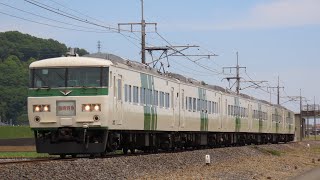 185系B6編成 あしかが大藤まつり号 岩舟～大平下通過