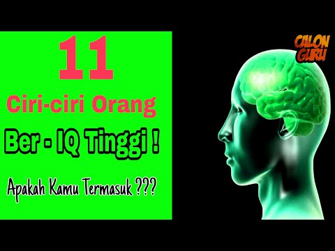 Video: Apakah Tahap Iq Tertinggi