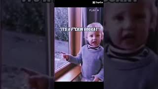 There Is A Fuing Goat Outside