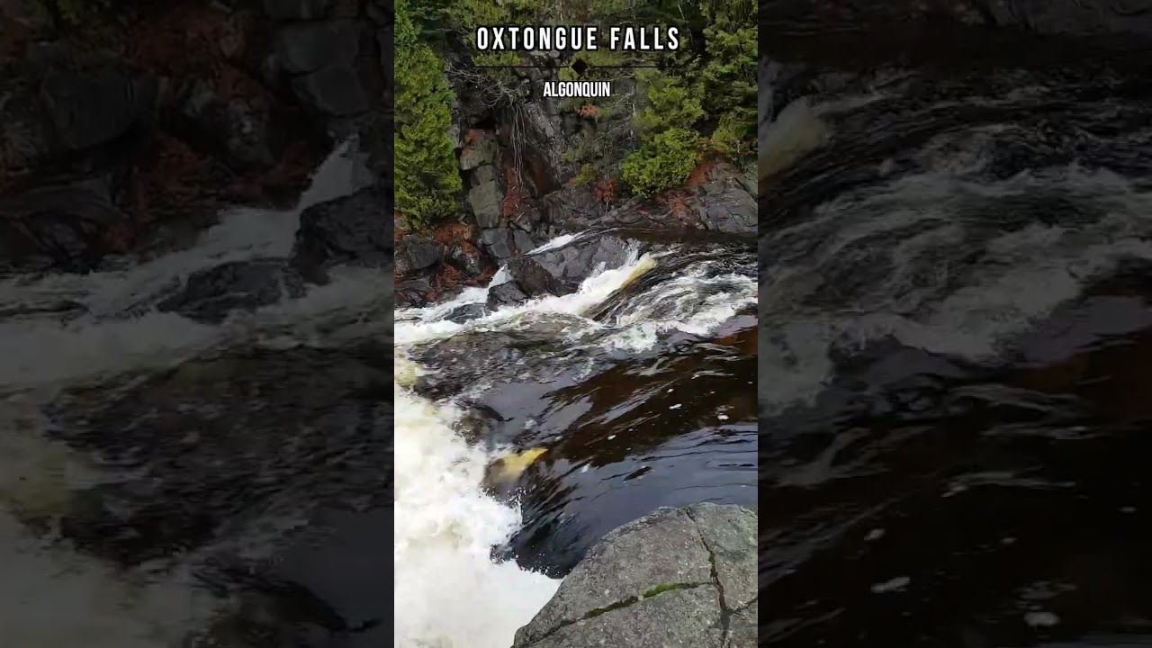 Oxtongue Falls RAGING Near Algonquin Park! 😱 🇨🇦