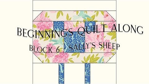 The Beginnings QAL Block 6 Sally