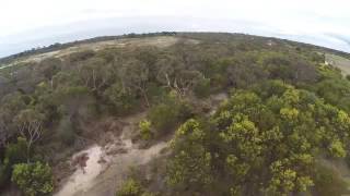 Eagle vs Drone   2m Wedge Tailed Eagle takes down Drone  Watch it Punch it out of the sky