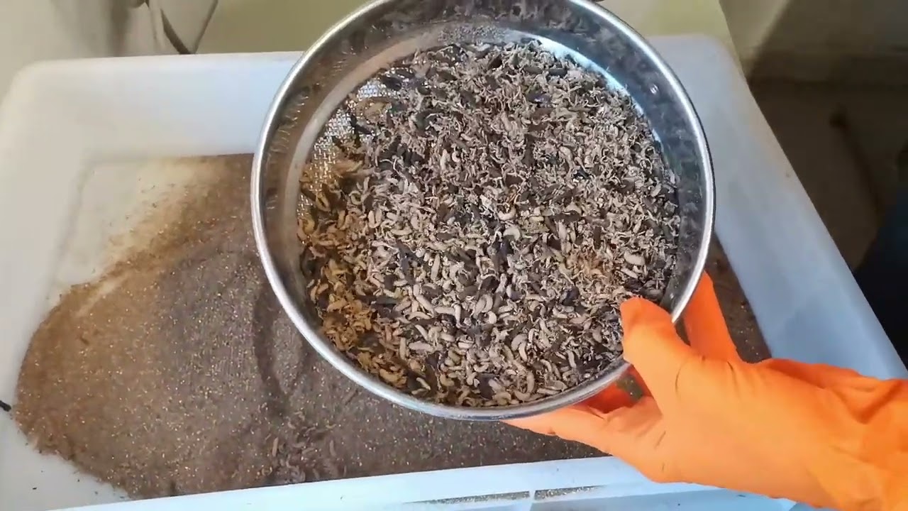 BioDNA, Università Cattolica del Sacro Cuore