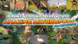 🐛 AMAZING ARTHROPODS! 40+ New Species!  | Planet Zoo Mod Showcase