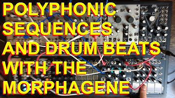 Looping with the Make Noise Morphagene