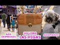 Adios a Las Vegas! Adoptamos Un Perrito!