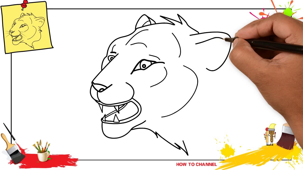 how to draw a female lion step by step