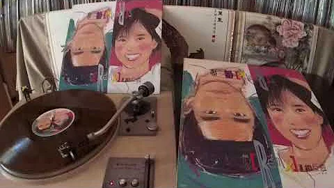 Lin Shan Shan -- b1  (Brother Louie)