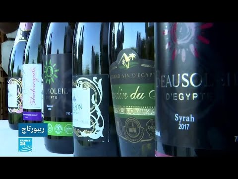 إنتاج النبيذ في مصر صناعة حديثة تسعى لإحياء إرث الفراعنة