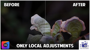 The Power of "Local Adjustments" in ON1 Photo RAW 2022